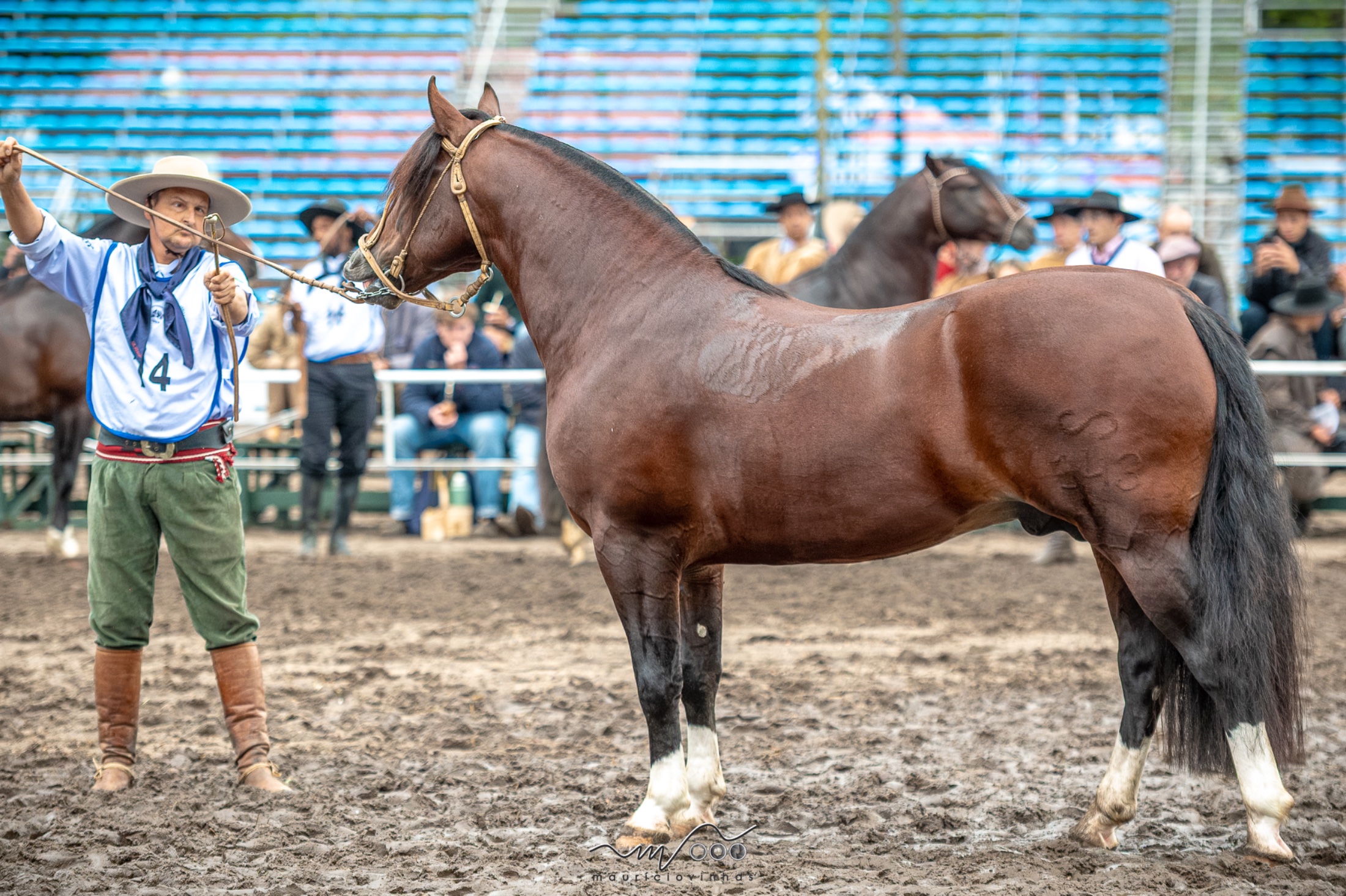 Monte Pampero Jogo de Sorte em pista